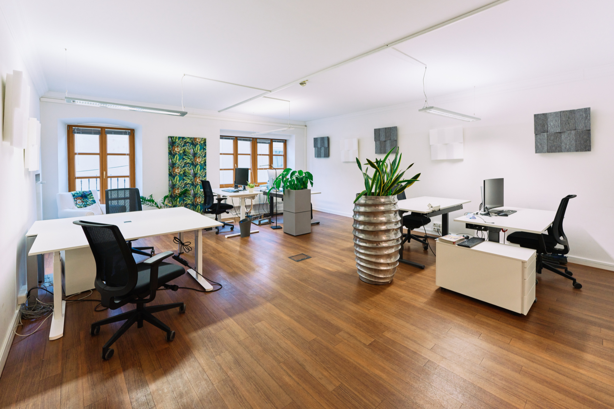 Ein Büroraum mit 6 Schreibtischen in weiß, davor Bürostühle in Schwarz und dazwischen Pflanzen in sehr großen Behältnissen. An der Wand hängen weiße und grauen Schalldämpfer in quadratischer Form.